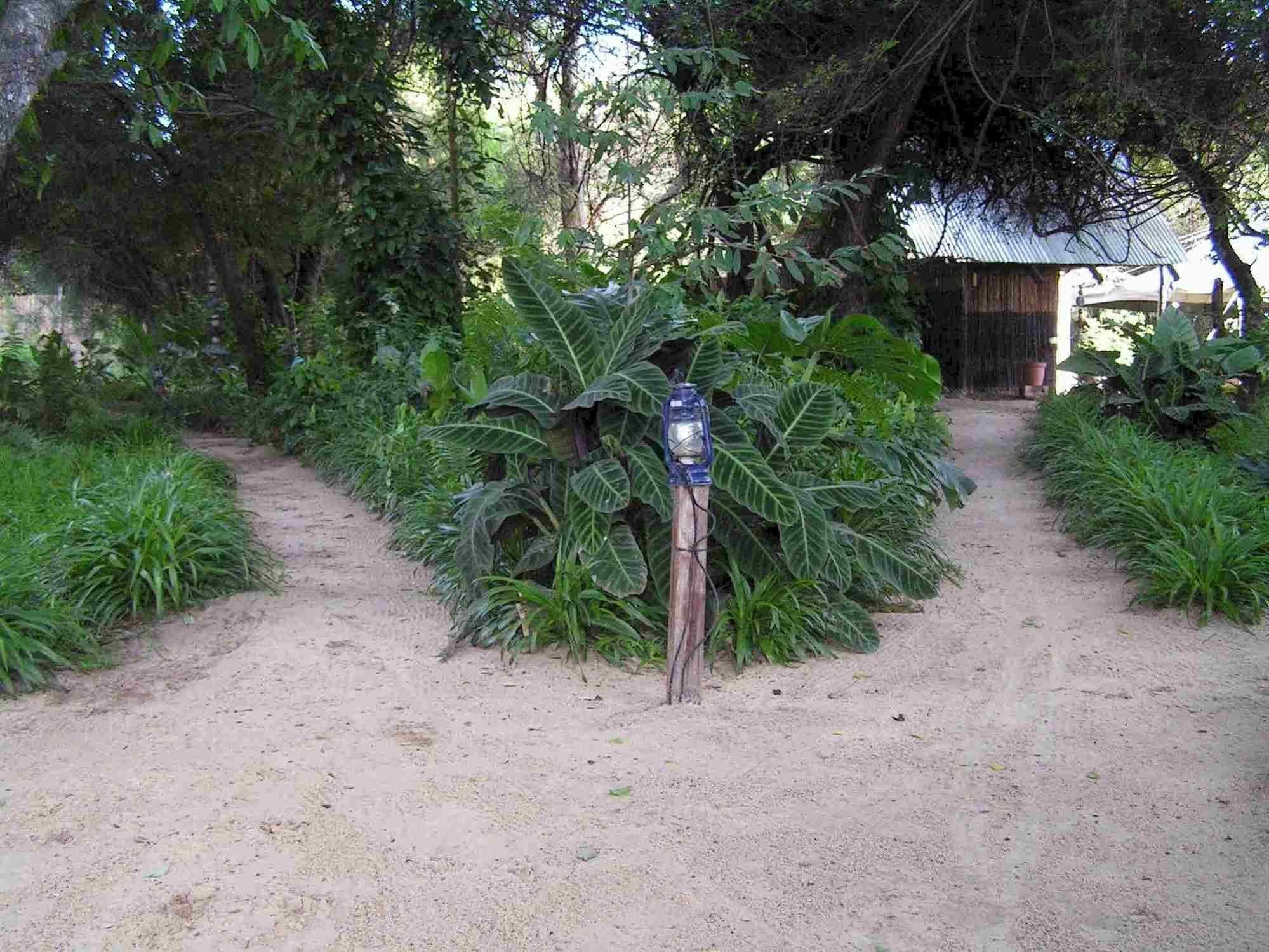 Caprivi Houseboat Safari Lodge Katima Mulilo Luaran gambar